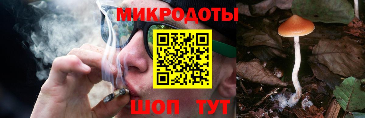 Искитим  Галлюциногенные грибы Cubensis  Псилоцибиновые грибы Cubensis  Вход с VPN 